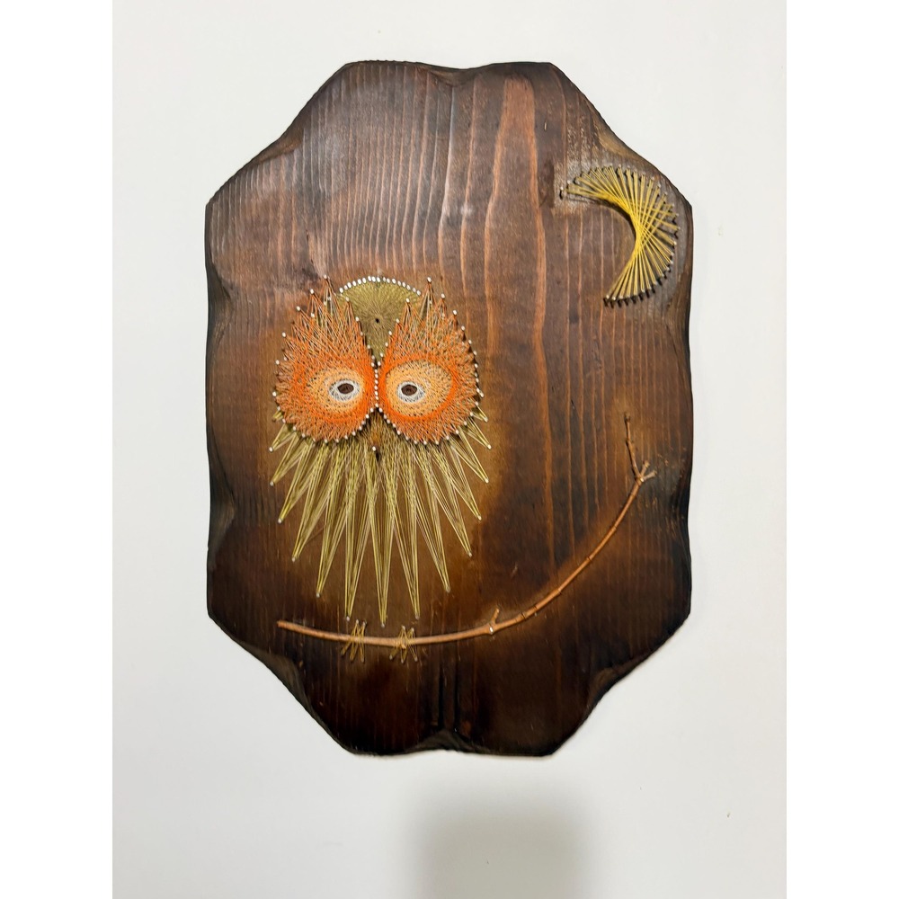 Vintage 1970s Owl String Art Wall Hanging, MCM Wood Plaque Crescent Moon